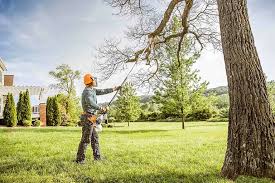 Best Arborist Consultation Services  in Oakland, NJ