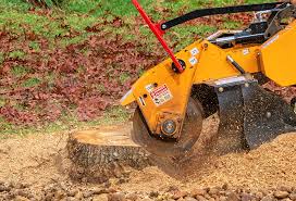 Best Tree Disease Treatment  in Oakland, NJ