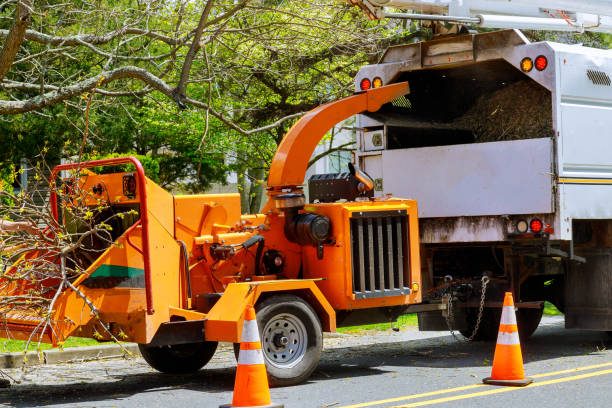 Best Fruit Tree Pruning  in Oakland, NJ
